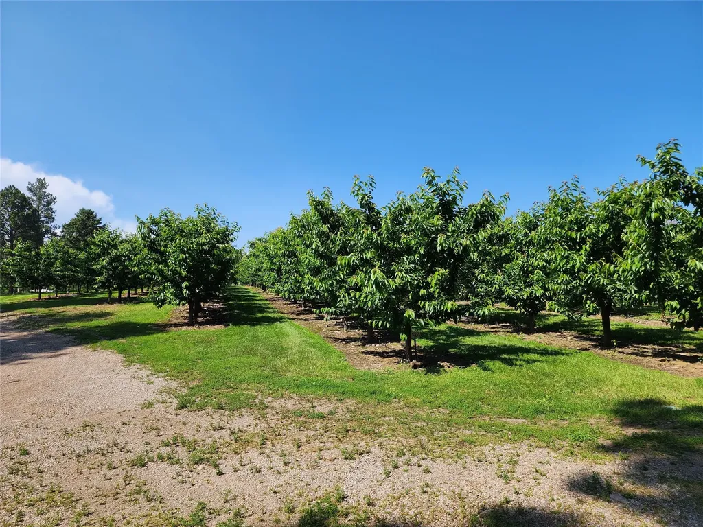 32624 S Finley Point Road Polson MT 59860