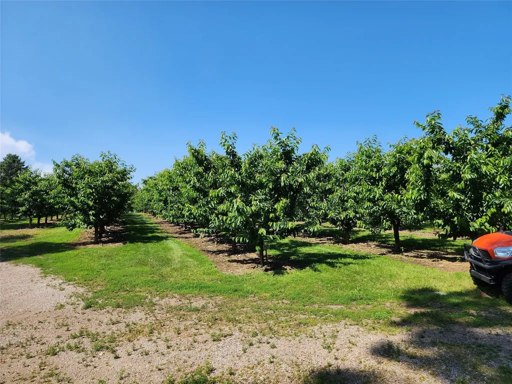 32624 S Finley Point Road Polson MT 59860