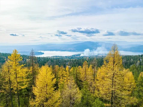 390 Sugarbowl Circle Whitefish MT 59937