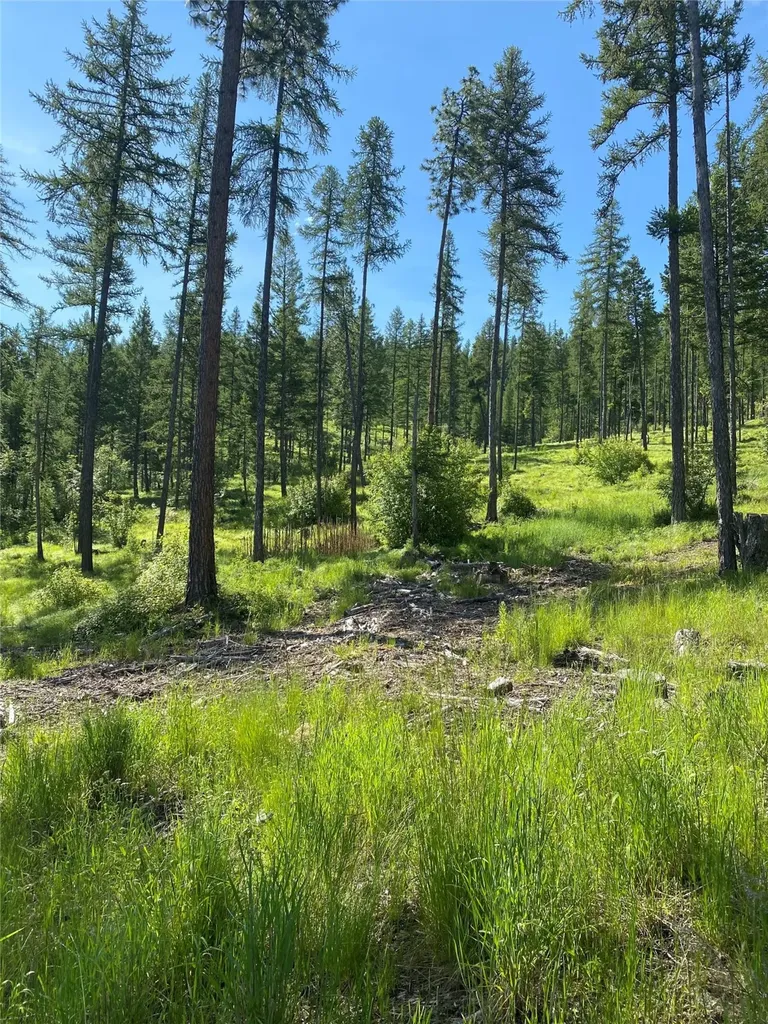 202 Soler Run Kalispell MT 59901