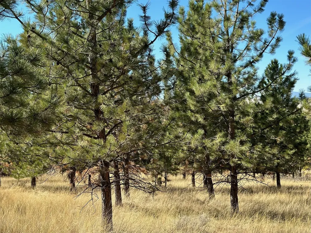 Nhn Highview Way Helena MT 59601