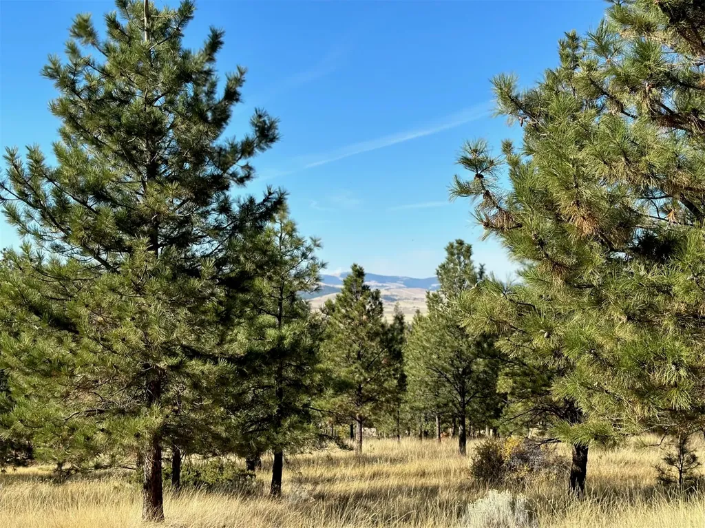 Nhn Highview Way Helena MT 59601