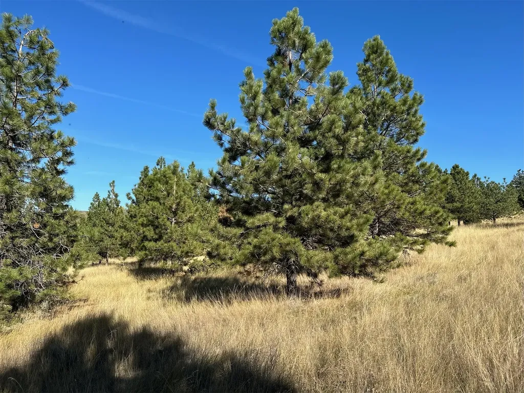 Nhn Highview Way Helena MT 59601
