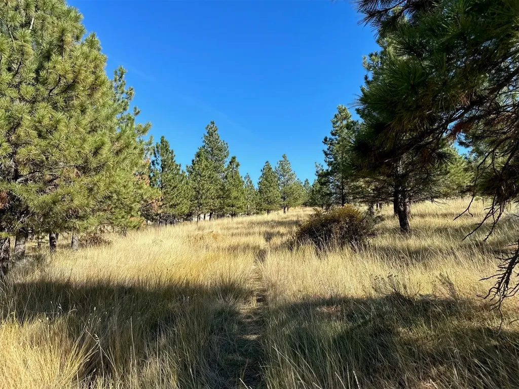 Nhn Highview Way Helena MT 59601