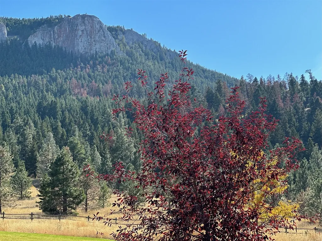 Nhn Highview Way Helena MT 59601