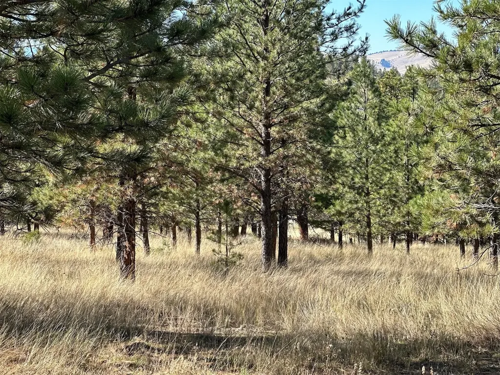 Nhn Highview Way Helena MT 59601