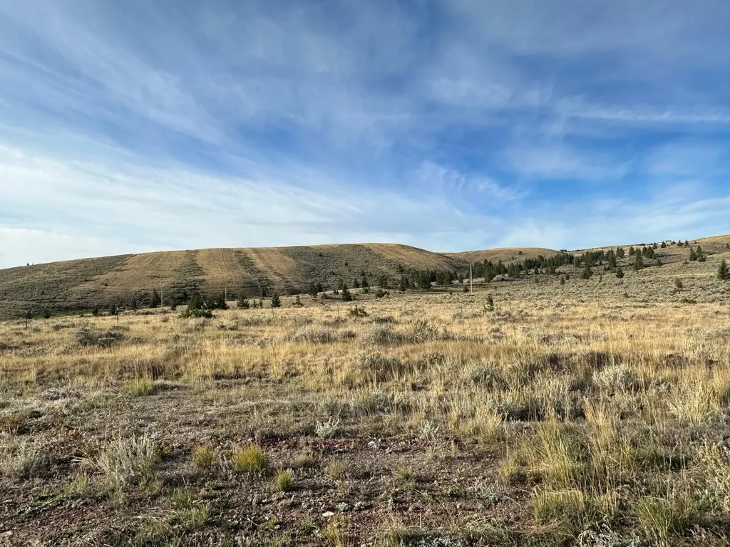 58 Mountain View Trail White Sulphur Springs MT 59645