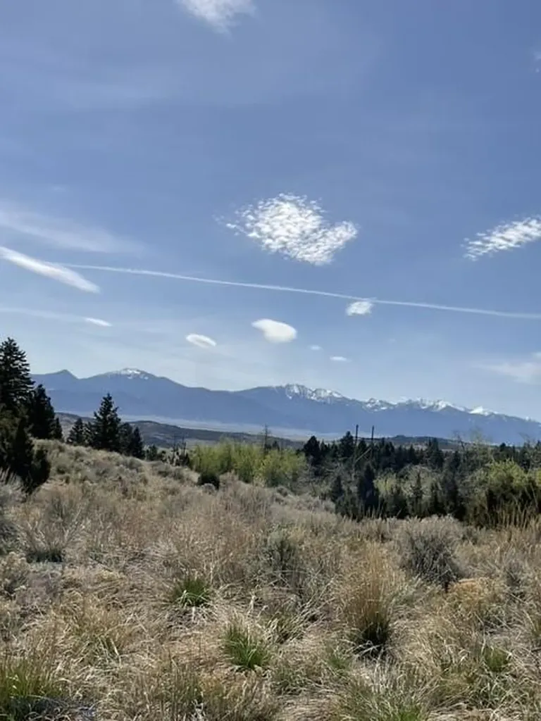 Whitehall MT 59759