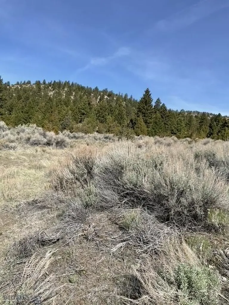 Whitehall MT 59759