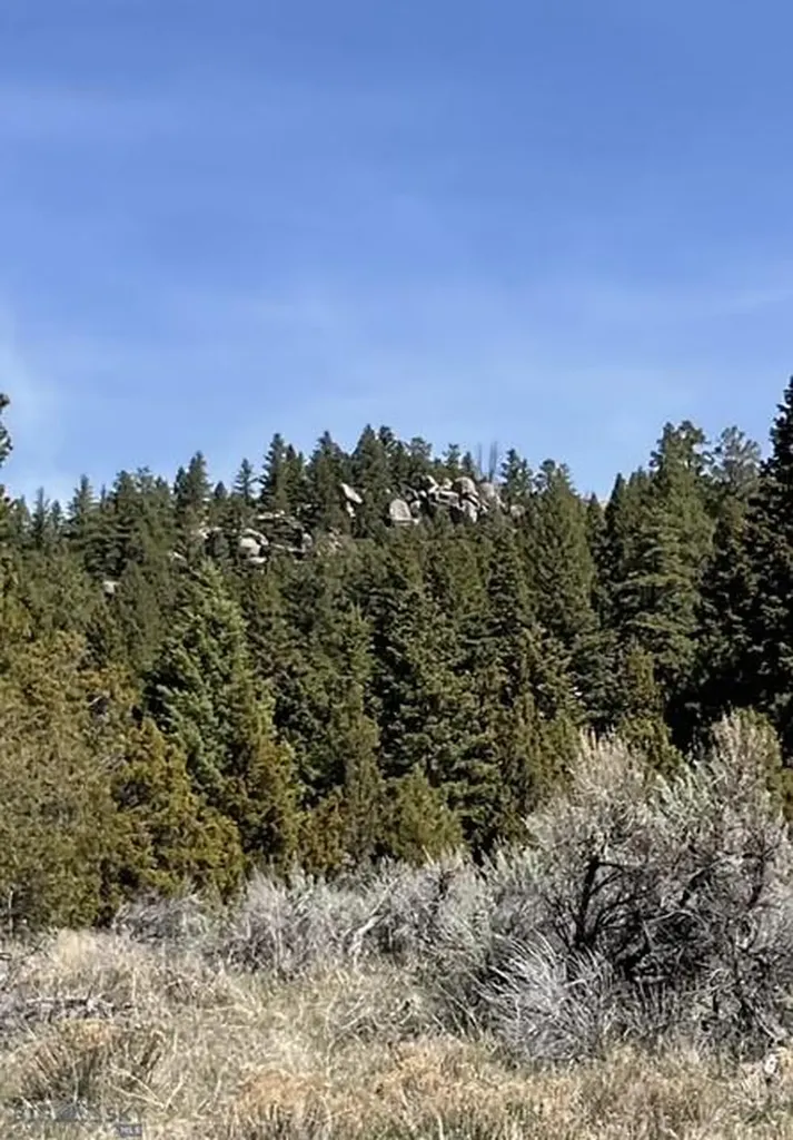 Whitehall MT 59759