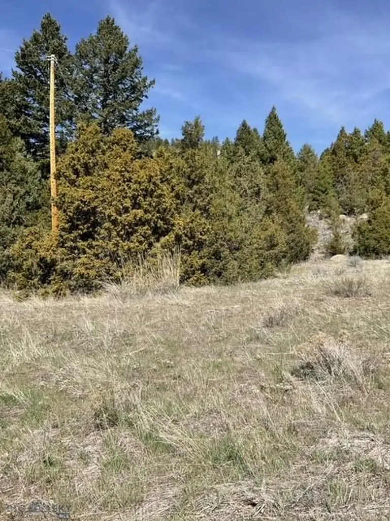 Whitehall MT 59759