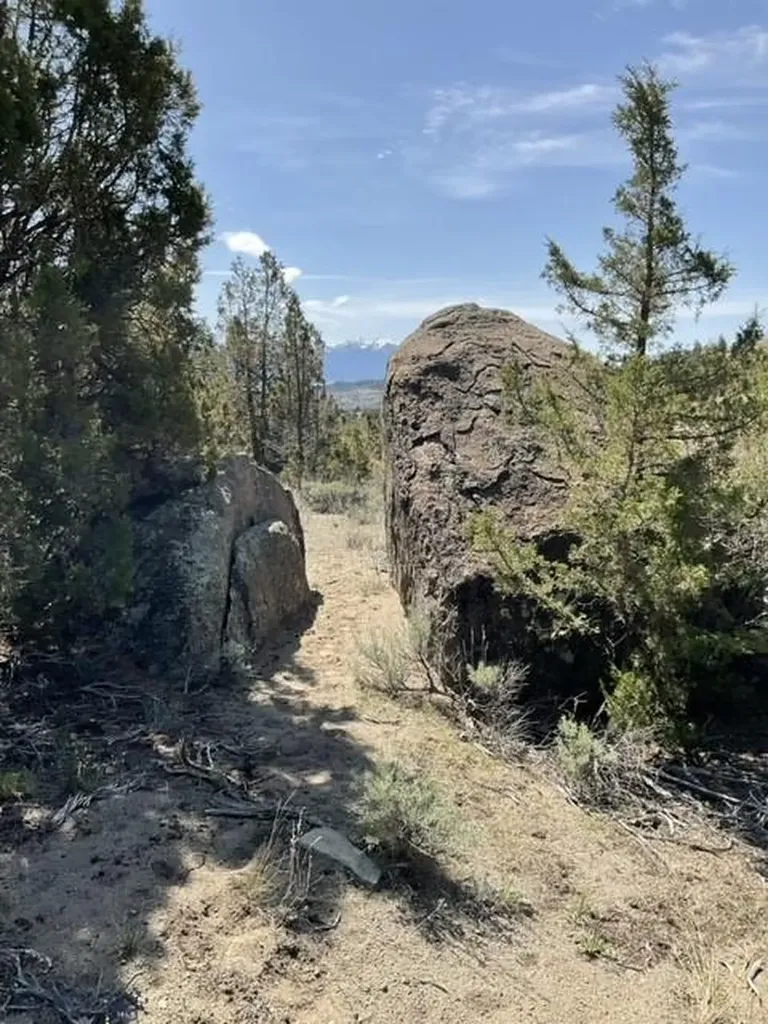 Whitehall MT 59759