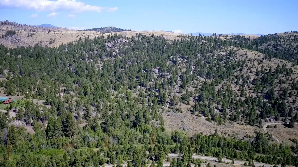 Whitehall MT 59759