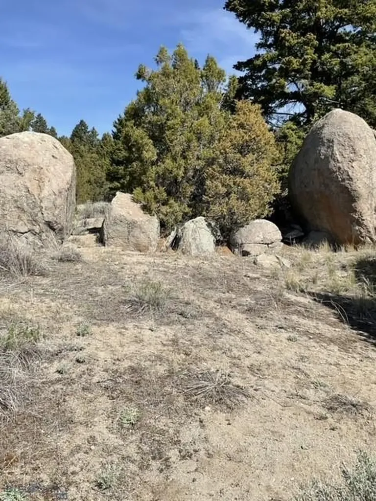 Whitehall MT 59759