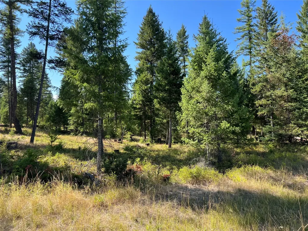 1805 Whitefish Village Drive Whitefish MT 59937