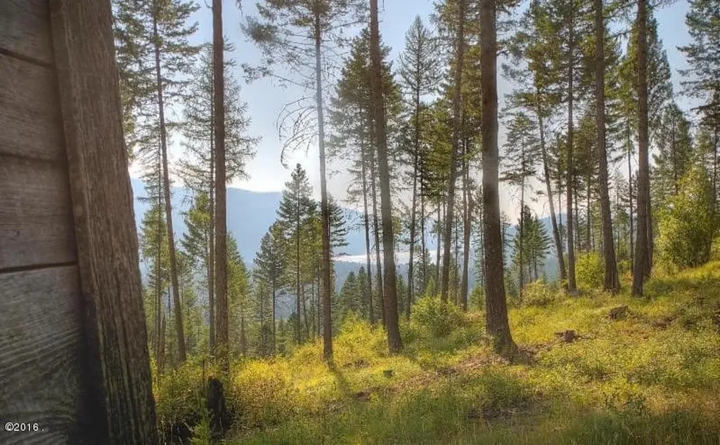 Nhn Lupfer Road Whitefish MT 59937