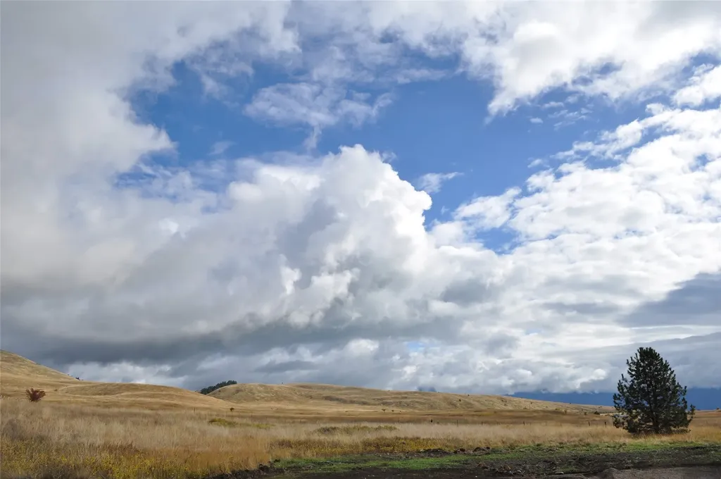 32994 Meadow Road Polson MT 59860