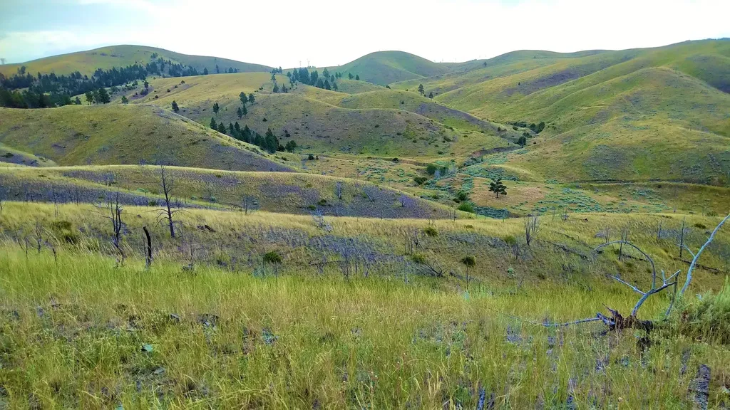 0 Ridge Road Townsend MT 59644