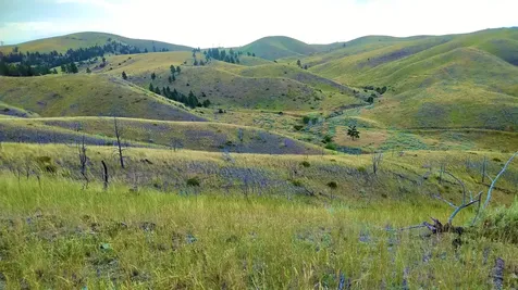 0 Ridge Road Townsend MT 59644