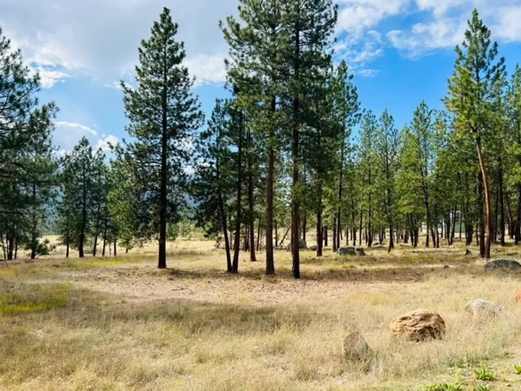 Nhn River Road W Plains MT 59859