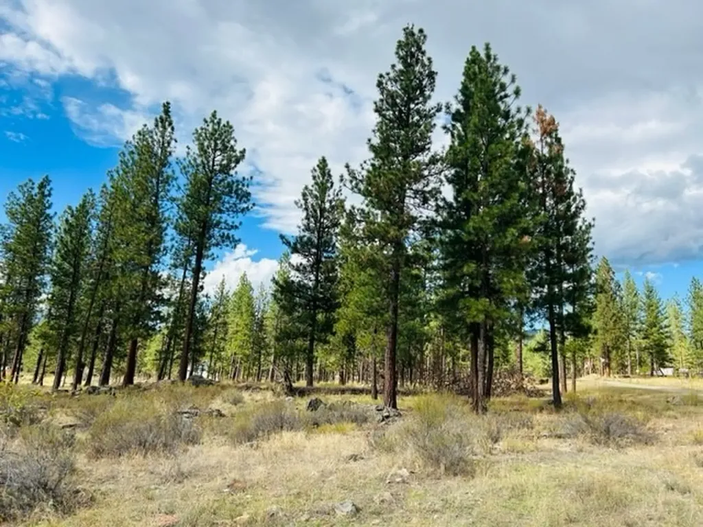 Nhn River Road W Plains MT 59859