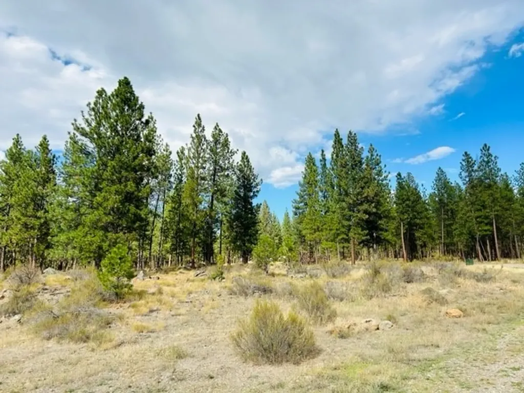 Nhn River Road W Plains MT 59859