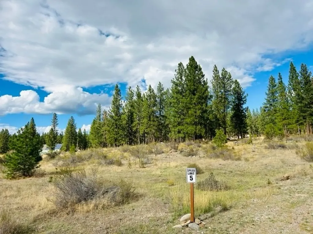Nhn River Road W Plains MT 59859