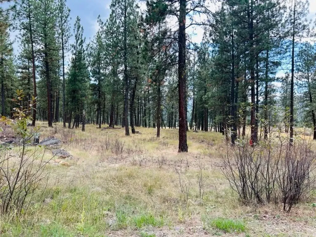 Nhn River Road W Plains MT 59859