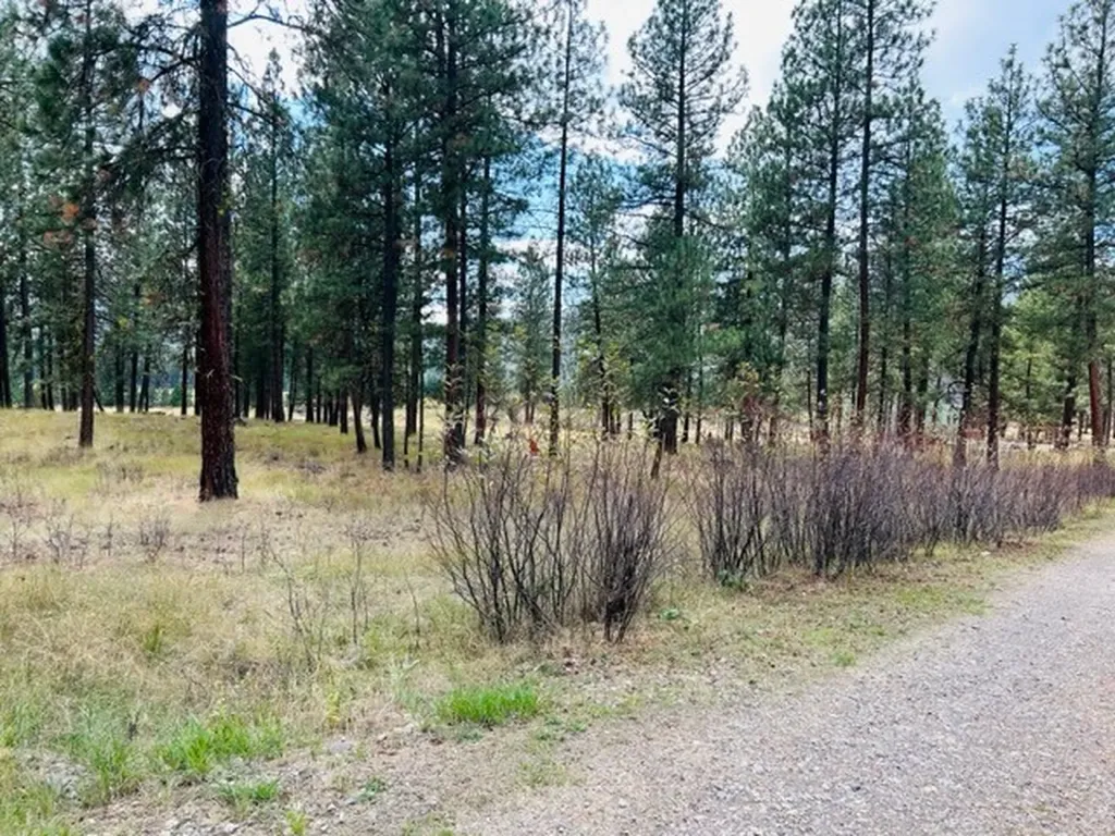 Nhn River Road W Plains MT 59859