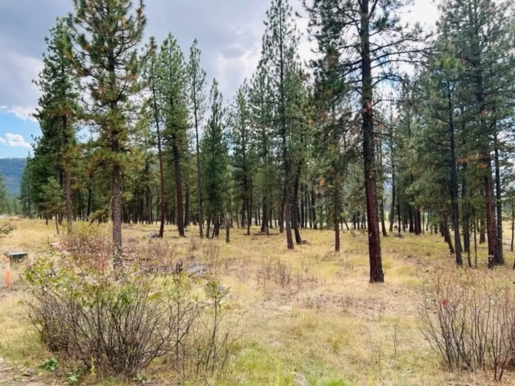Nhn River Road W Plains MT 59859