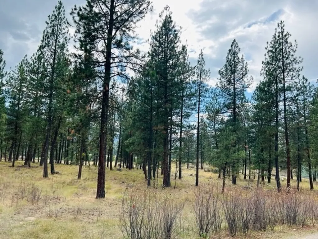Nhn River Road W Plains MT 59859