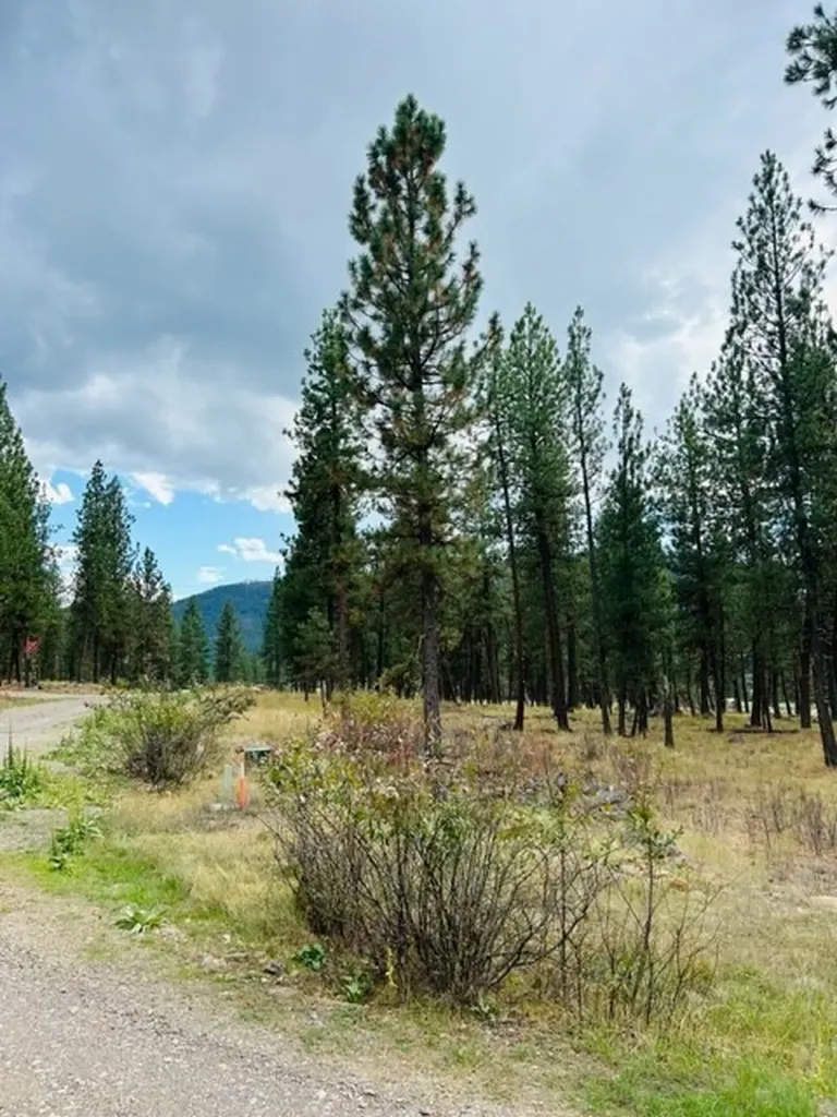 Nhn River Road W Plains MT 59859