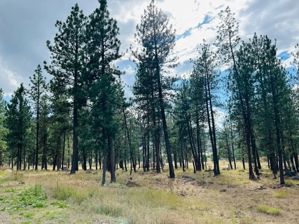 Nhn River Road W Plains MT 59859