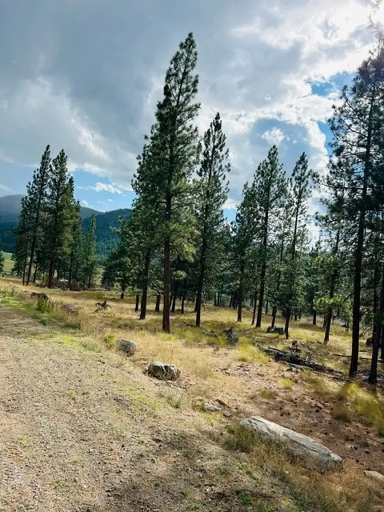 Nhn River Road W Plains MT 59859