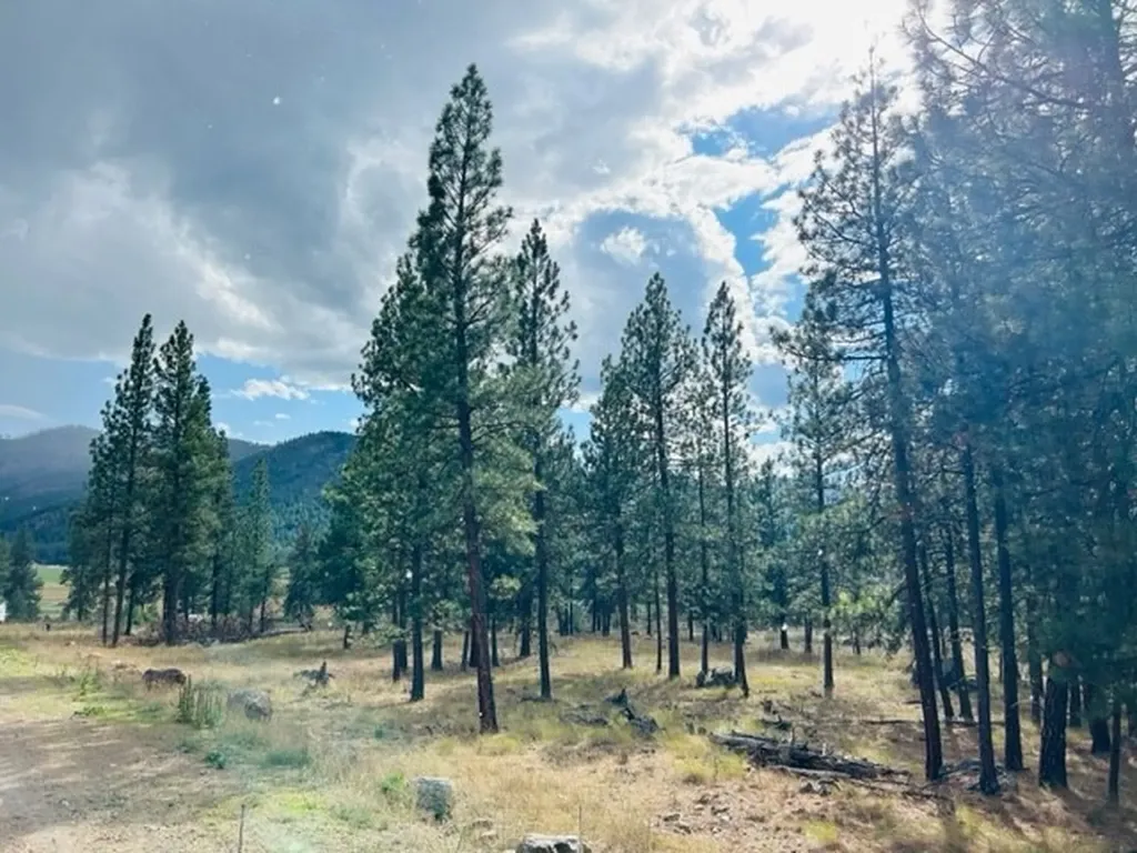 Nhn River Road W Plains MT 59859