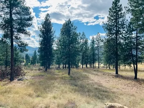 Nhn River Road W Plains MT 59859
