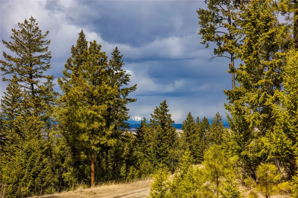 1243 Tobacco Valley View Road Eureka MT 59917