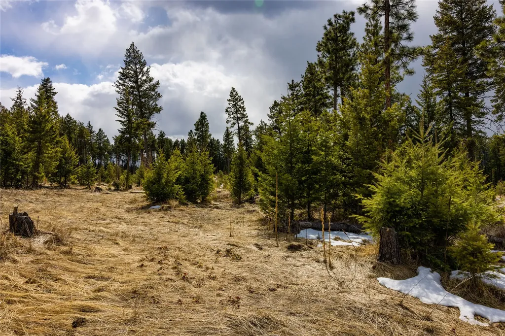1243 Tobacco Valley View Road Eureka MT 59917