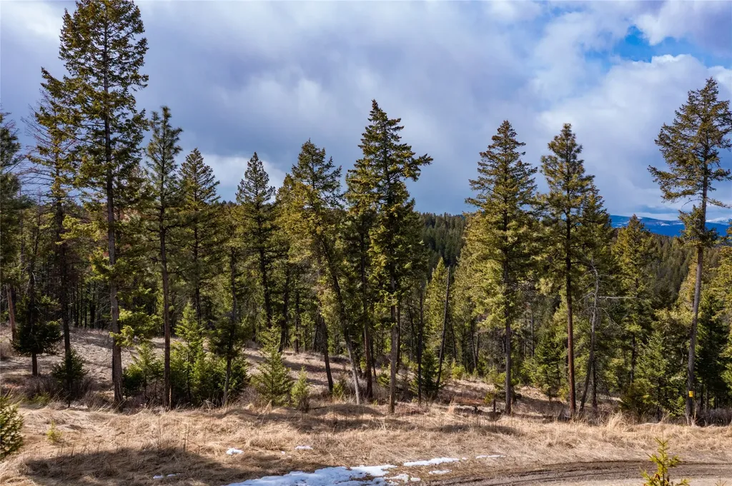 1243 Tobacco Valley View Road Eureka MT 59917