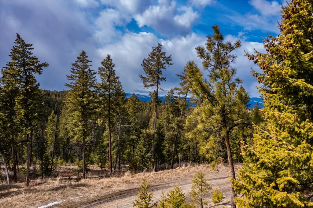 1243 Tobacco Valley View Road Eureka MT 59917