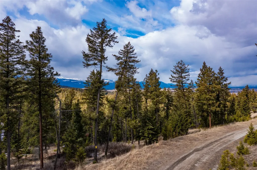 1243 Tobacco Valley View Road Eureka MT 59917