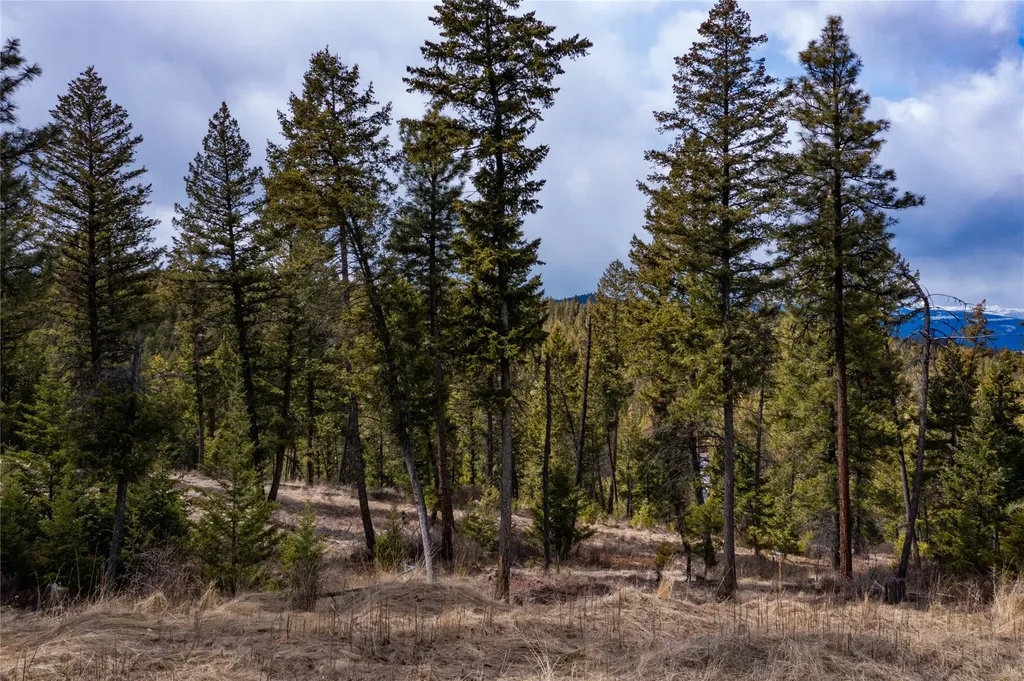 1243 Tobacco Valley View Road Eureka MT 59917