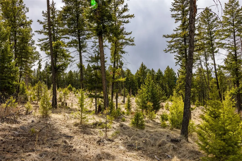 1243 Tobacco Valley View Road Eureka MT 59917