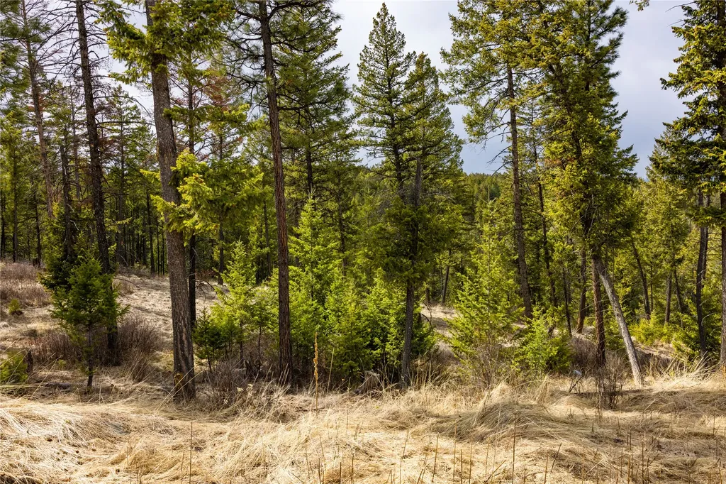 1243 Tobacco Valley View Road Eureka MT 59917