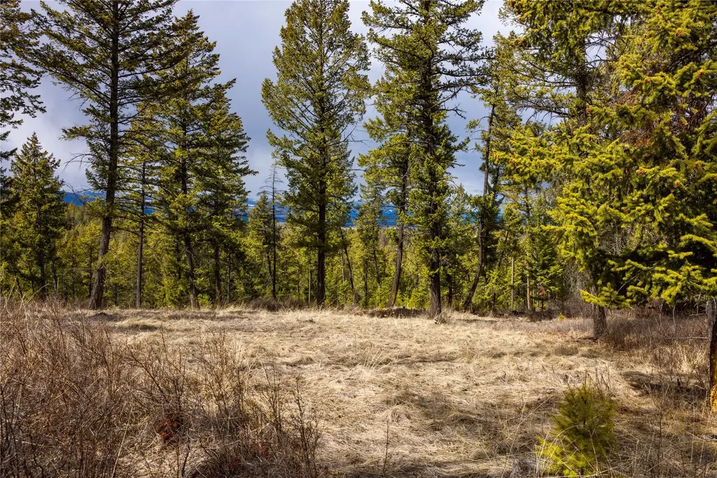 1243 Tobacco Valley View Road Eureka MT 59917