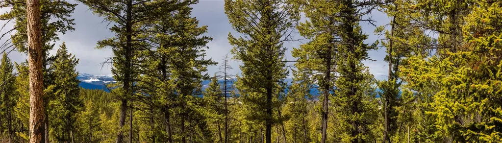 1243 Tobacco Valley View Road Eureka MT 59917