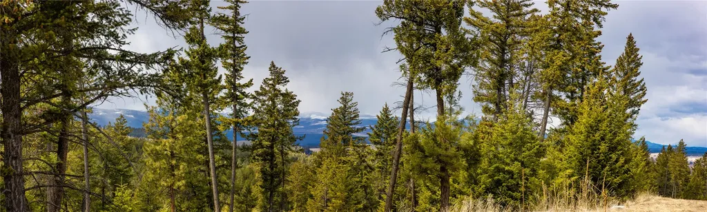 1243 Tobacco Valley View Road Eureka MT 59917