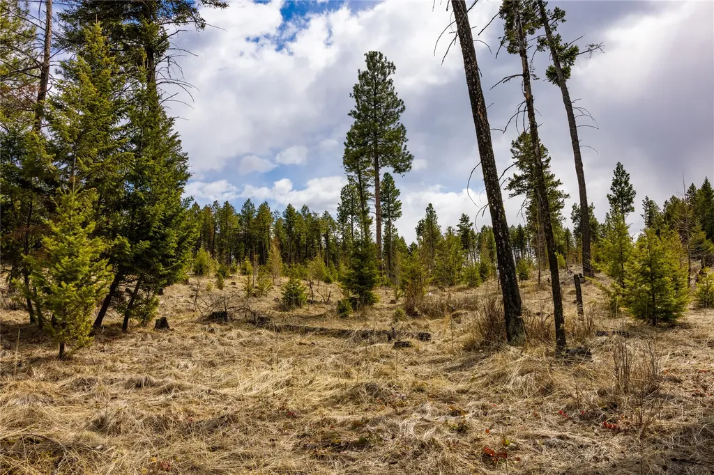 1243 Tobacco Valley View Road Eureka MT 59917
