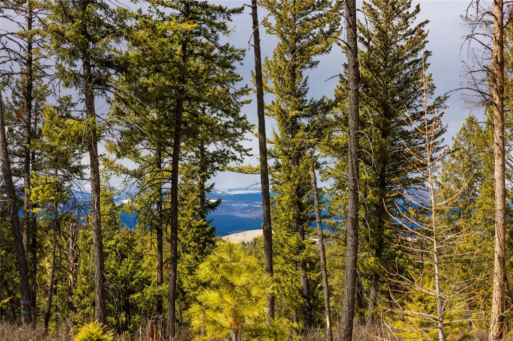 1243 Tobacco Valley View Road Eureka MT 59917