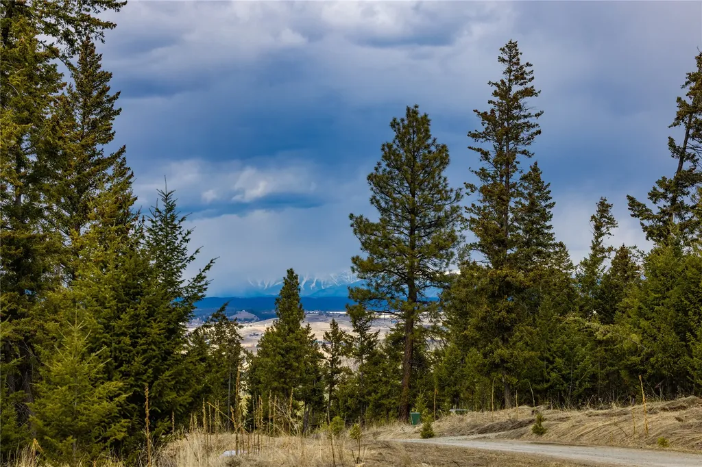 1243 Tobacco Valley View Road Eureka MT 59917